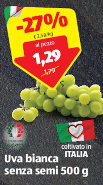 ALDI Uva bianca senza semi 500 g offerta