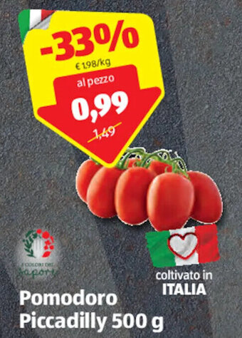 ALDI Pomodoro Piccadilly 500 g offerta