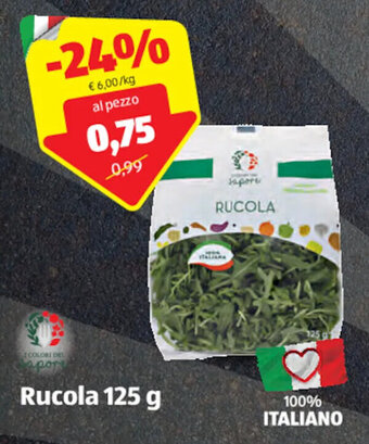 ALDI Rucola 125 g offerta