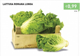 Prezzemolo e Vitale Lattuga Romana Lunga offerta