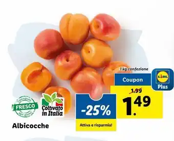 Lidl Albicocche 1kg offerta
