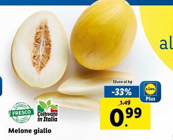 Lidl Melone giallo offerta