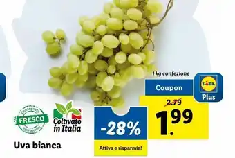 Lidl Uva bianca 1kg offerta