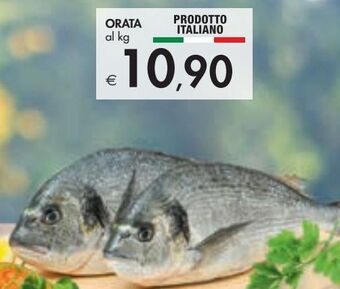 Bennet Orata offerta