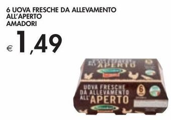 Bennet 6 uova fresche da allevamento all'aperto amadori offerta
