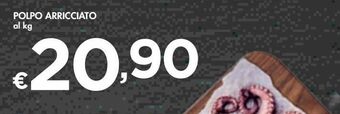 Bennet Polpo arricciato offerta