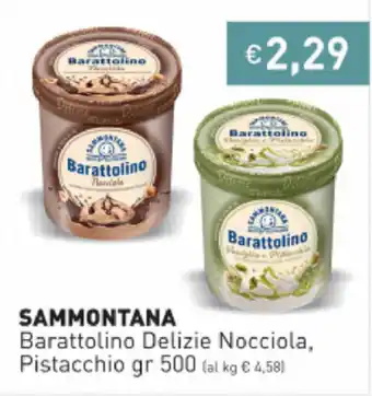 Prezzemolo e Vitale Sammontana Barattolino Delizie Nocciola, Pistacchio 500gr offerta