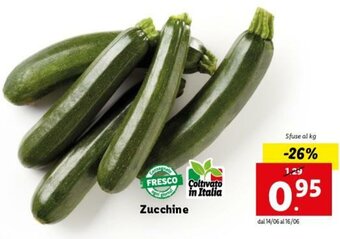 Lidl Zucchine offerta