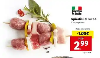 Lidl Spiedini di suino 450g offerta