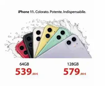 Euronics Iphone 11 colorato potente indispensabile 64 gb offerta