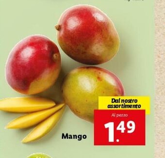 Lidl Mango offerta