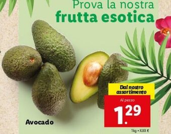 Lidl Avocado offerta
