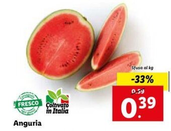 Lidl Anguria offerta