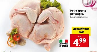 Lidl Pollo aperto per griglia offerta