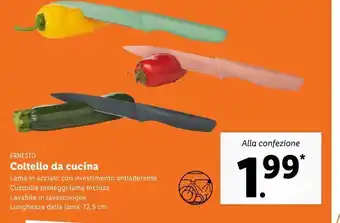 Lidl Coltello da cucina ernesto offerta
