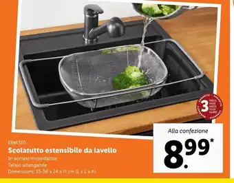 Lidl Scolatutto estensibile da lavello ernesto offerta