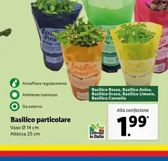Lidl Basilico particolare offerta