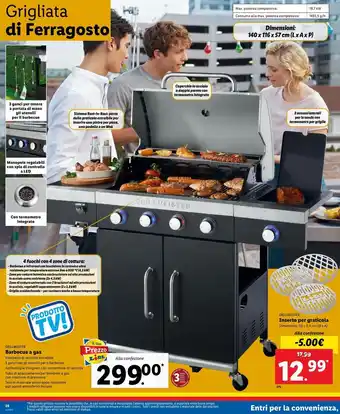 Lidl Barbecue a gas grillmeister offerta