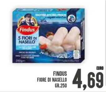 Iper Pellicano Findus Fiore di Nasello gr. 250 offerta