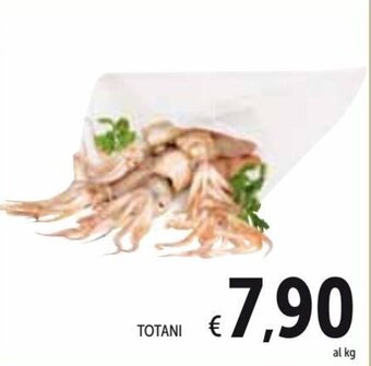 Spazio Conad Totani offerta