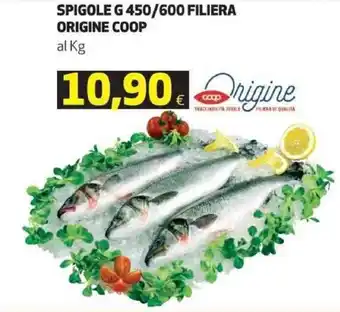 Coop Coop Origine Spigole 450 g/600 filiera offerta