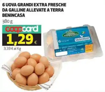 Coop Benincasa 6 Uova Grandi Extra Fresche da galline allevate a terra 380 g offerta