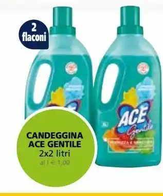 Il Gigante Candeggina ace gentile 2x2 l offerta