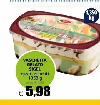 Vaschetta gelato sigel
