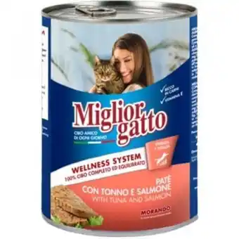 Miglior gatto patè con tonno e salmone in