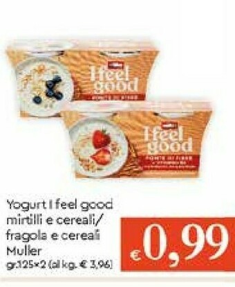 Galassia Muller Yogurt offerta