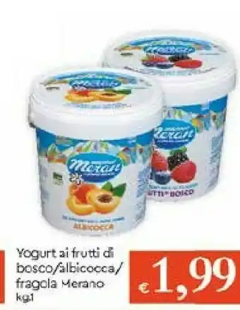 Galassia Meran Yogurt offerta
