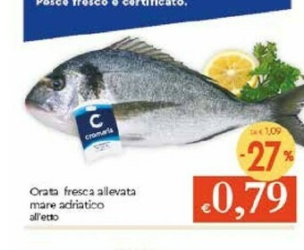 Galassia Orata offerta