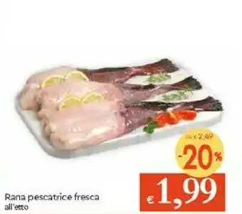 Galassia Rana Pesce offerta