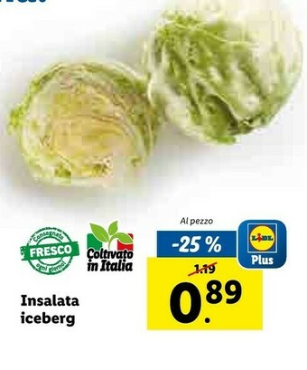 Lidl Insalata Iceberg offerta