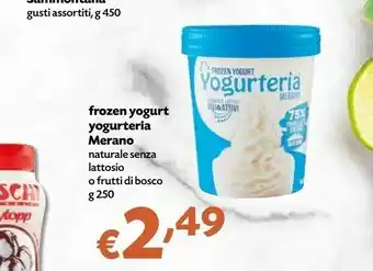Borello Supermercati Merano Gelato offerta