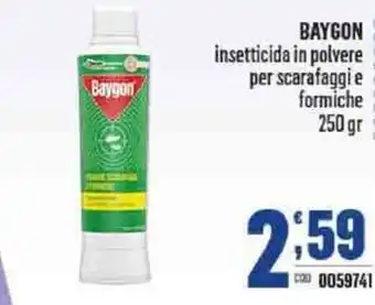 Baygon insetticida in polvere per scarafaggi e formiche 250 gr