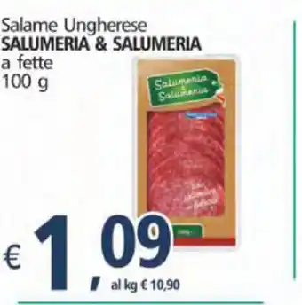 Alter Discount Salumeria & Salumeria Salame Ungherese a fette 100g offerta