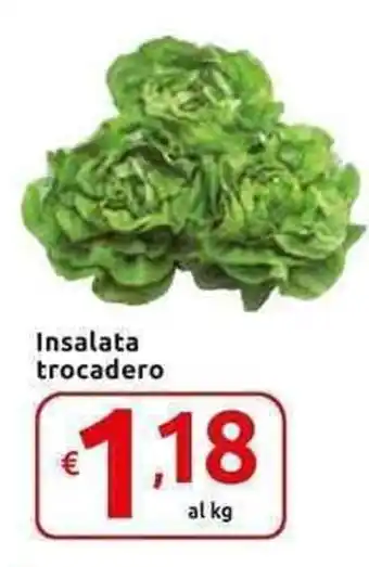 Carrefour Express Insalata trocadero offerta