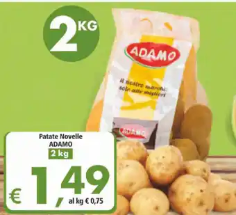 Alter Discount Adamo Patate Novelle 2kg offerta