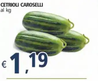 Alter Discount Cetrioli Caroselli al kg offerta