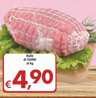 Alter Discount Rollè di Suino al kg offerta