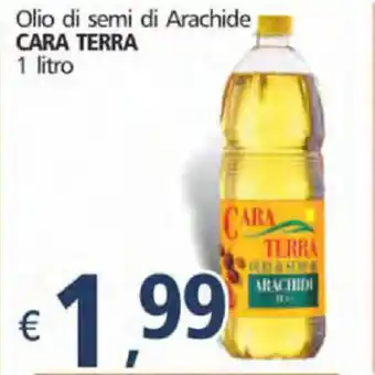 Alter Discount Cara Terra Olio di semi di Arachide 1 litro offerta