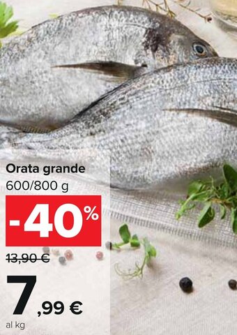 Carrefour Orata grande 600/800 g offerta