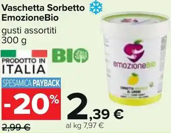 Carrefour emozioneBio Vaschetta Sorbetto 300 g offerta