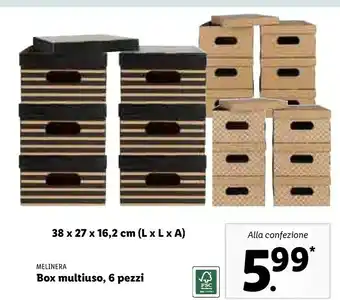 Lidl Mellinera Box Multiuso offerta