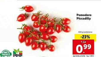 Lidl Pomodoro Piccadilly offerta