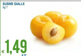 MD Discount Susine Gialle offerta