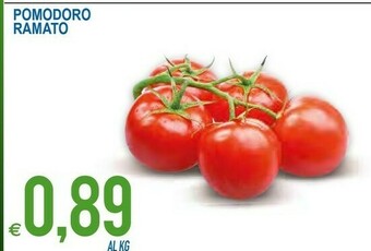 MD Discount Pomodoro Ramato offerta