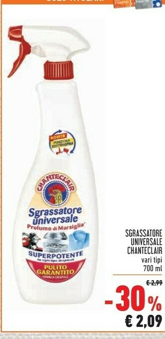 Conad Superstore Chanteclair Sgrassatore offerta