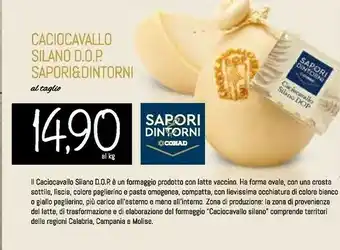 Conad Superstore Silano Formaggio offerta